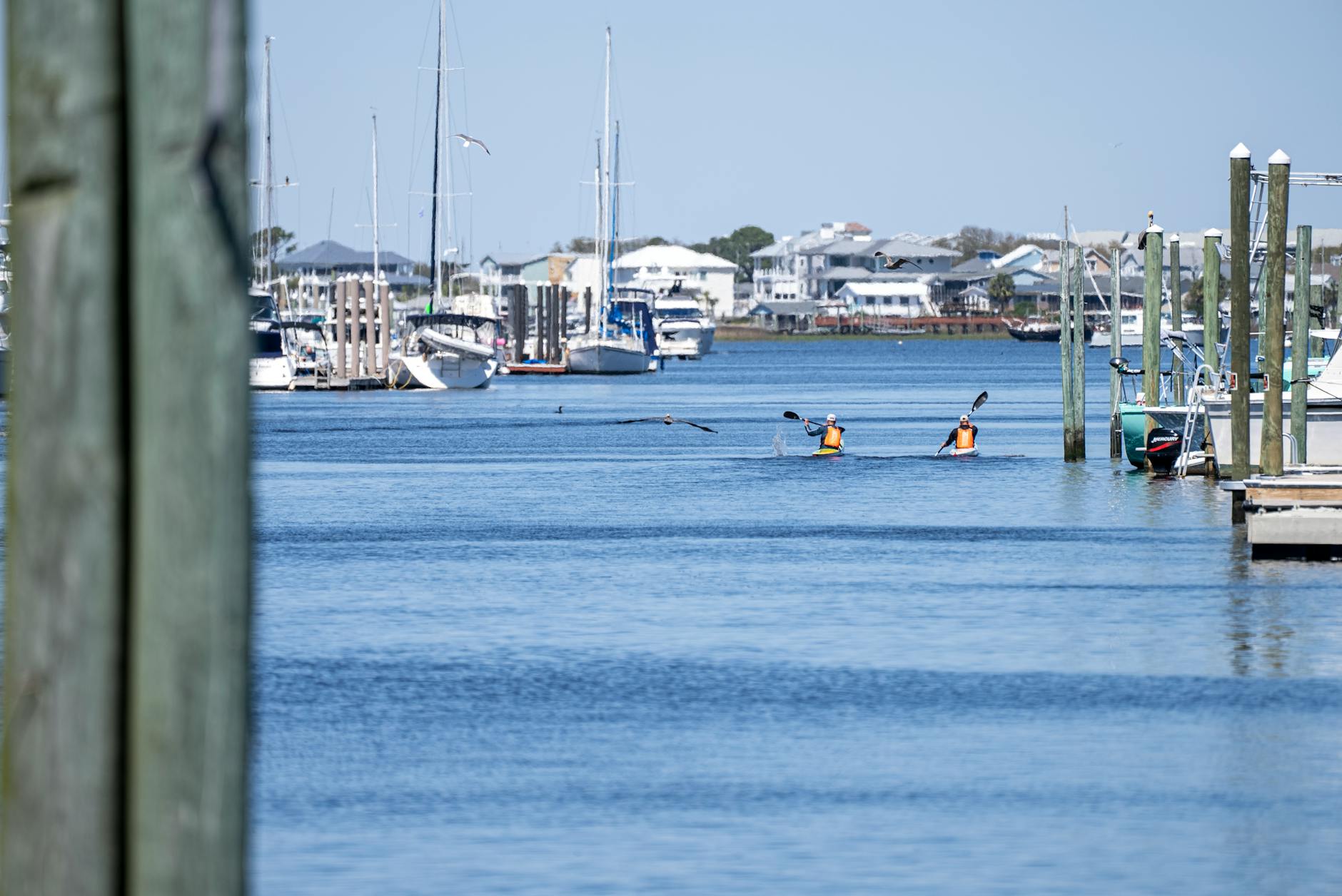 Kajakarze na słonecznym akwenie w otoczeniu łodzi i pomostów